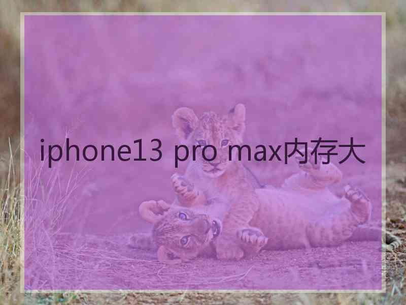 iphone13 pro max内存大