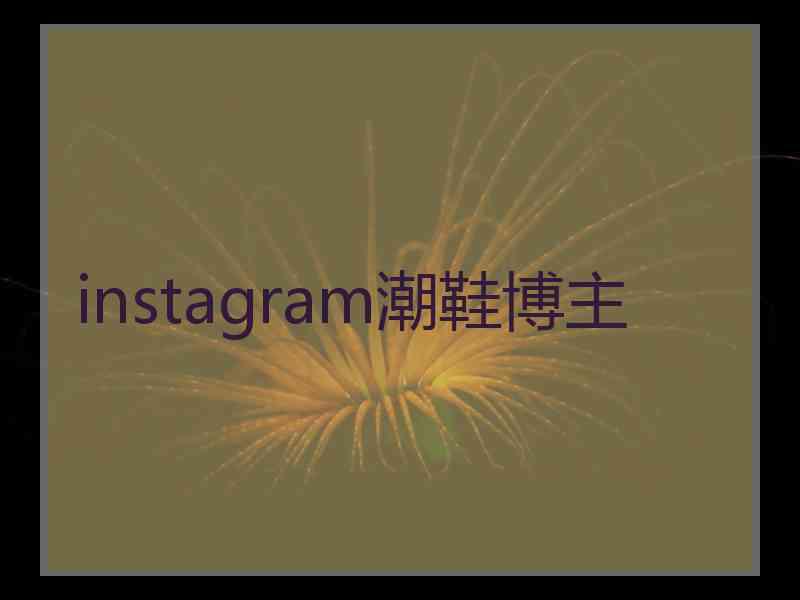 instagram潮鞋博主