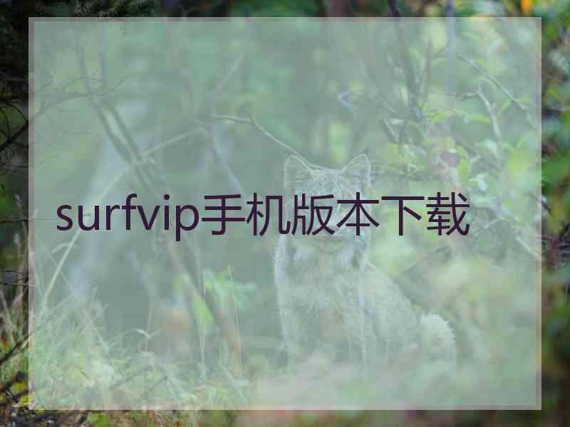 surfvip手机版本下载