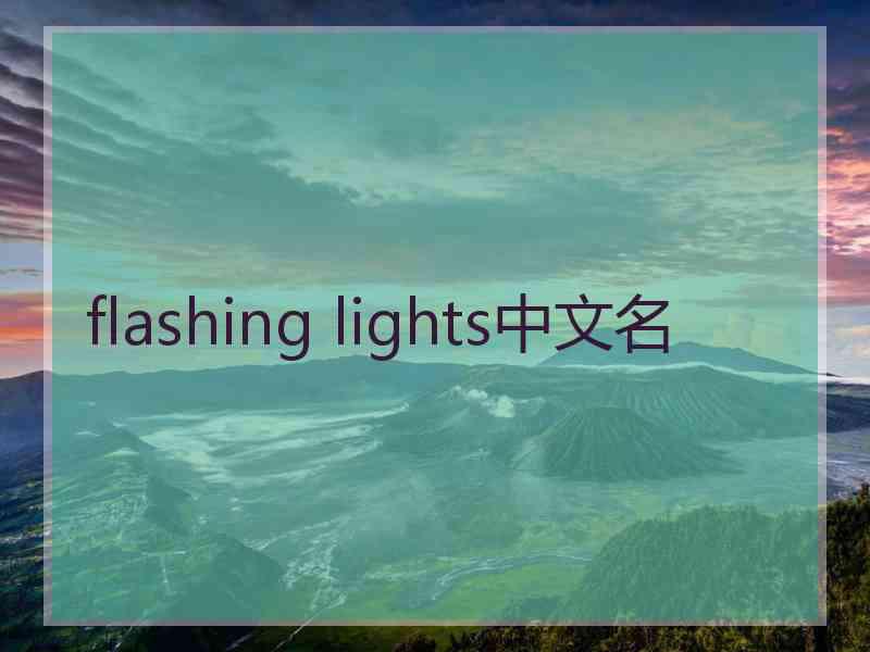 flashing lights中文名