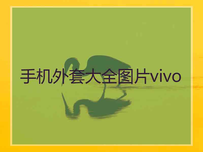 手机外套大全图片vivo