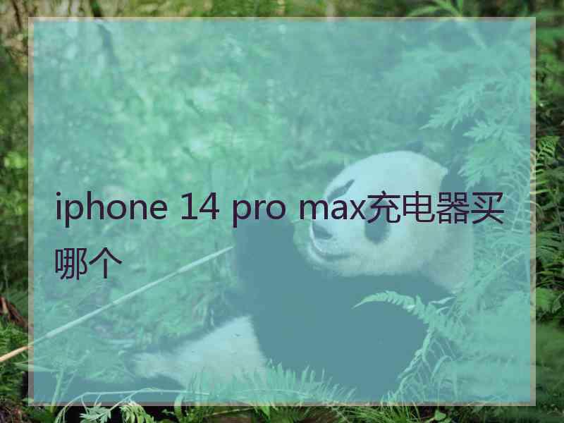 iphone 14 pro max充电器买哪个