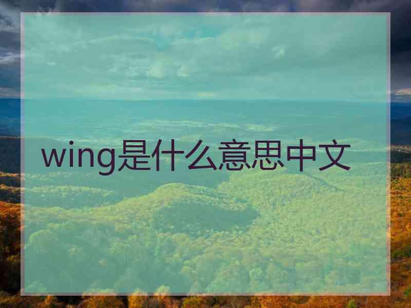 wing是什么意思中文