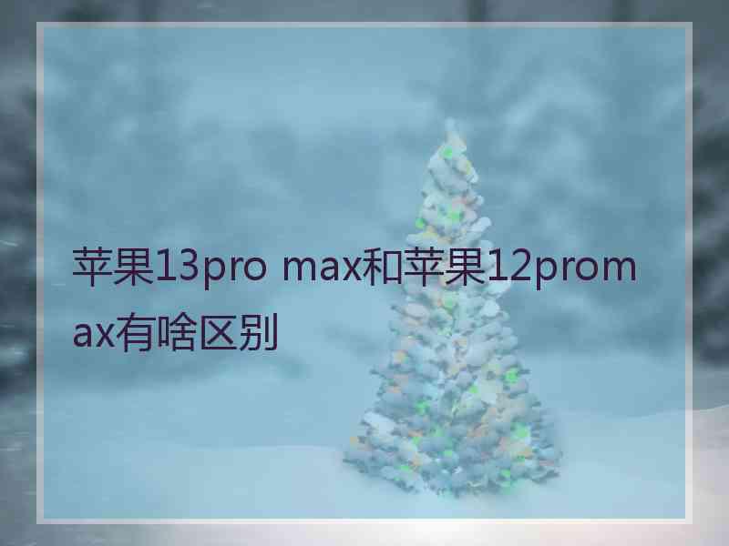 苹果13pro max和苹果12promax有啥区别