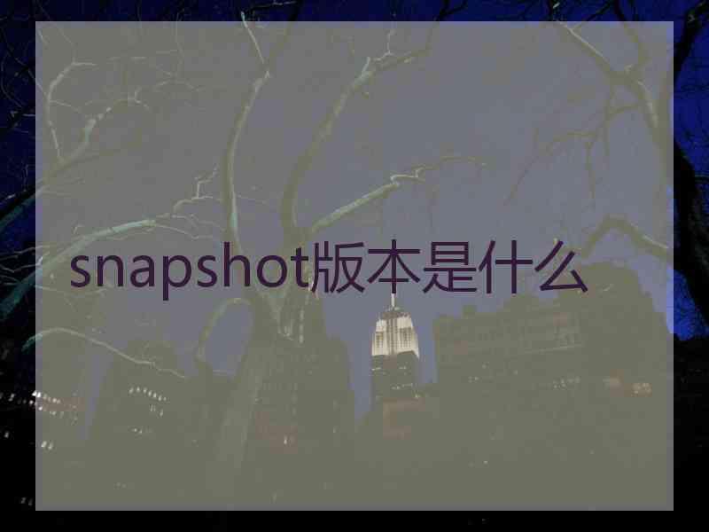 snapshot版本是什么