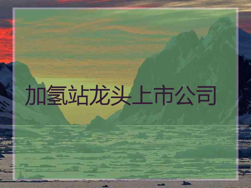 加氢站龙头上市公司