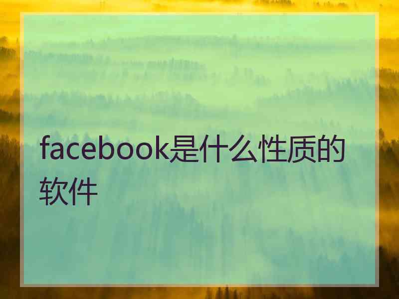 facebook是什么性质的软件