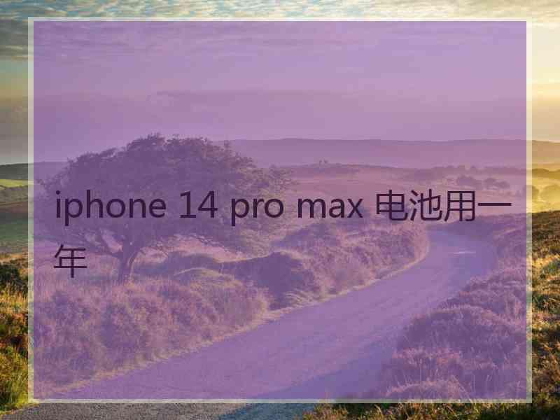 iphone 14 pro max 电池用一年