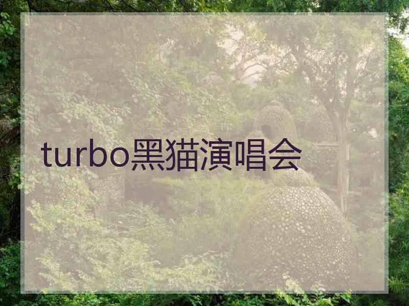 turbo黑猫演唱会