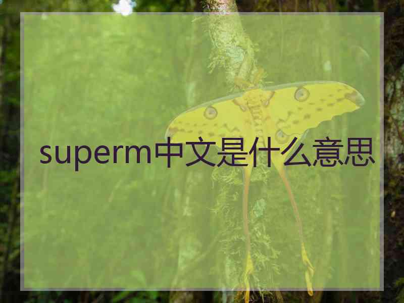 superm中文是什么意思