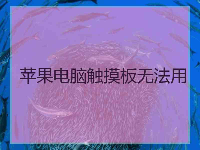 苹果电脑触摸板无法用