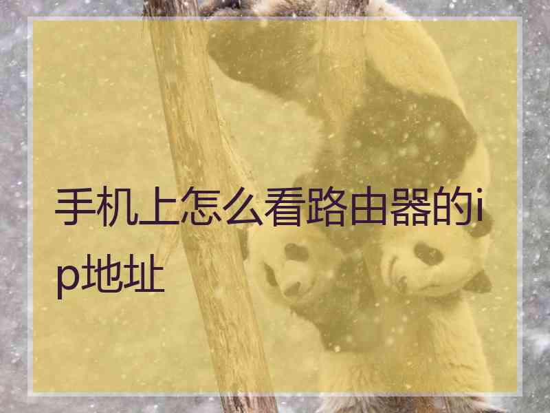 手机上怎么看路由器的ip地址