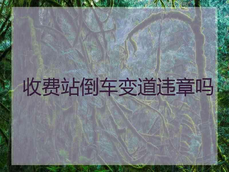 收费站倒车变道违章吗