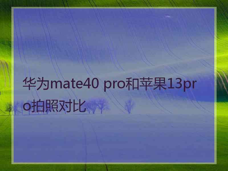 华为mate40 pro和苹果13pro拍照对比