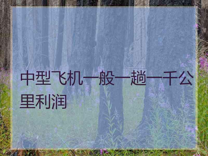 中型飞机一般一趟一千公里利润