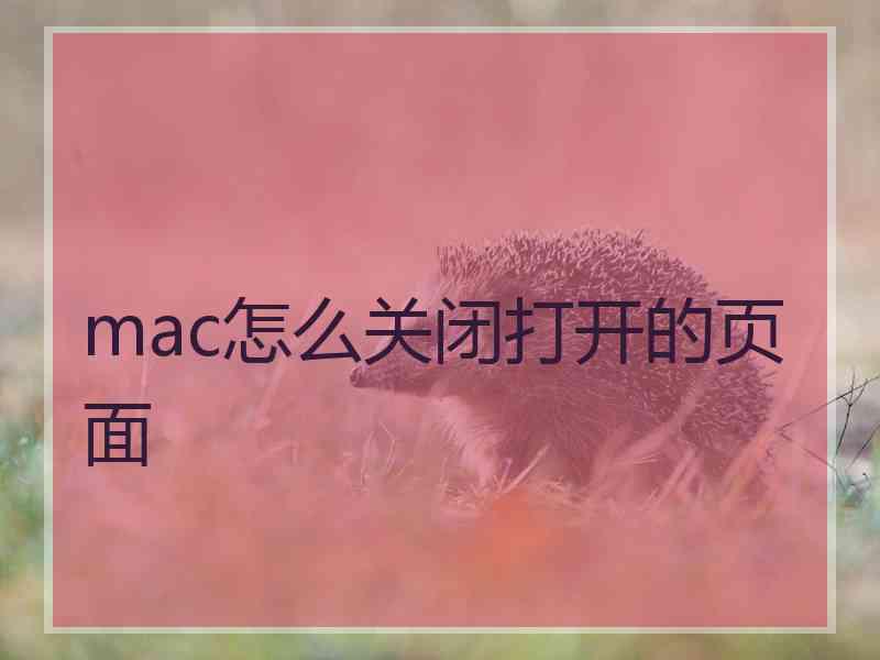 mac怎么关闭打开的页面