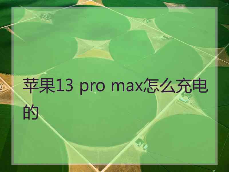 苹果13 pro max怎么充电的