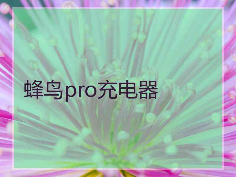 蜂鸟pro充电器