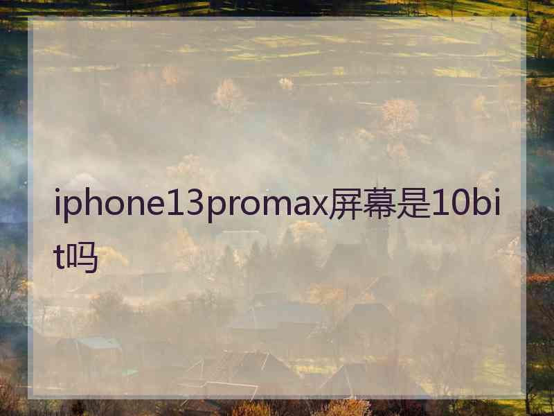 iphone13promax屏幕是10bit吗