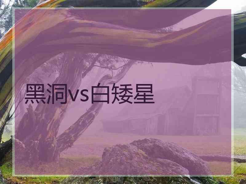 黑洞vs白矮星