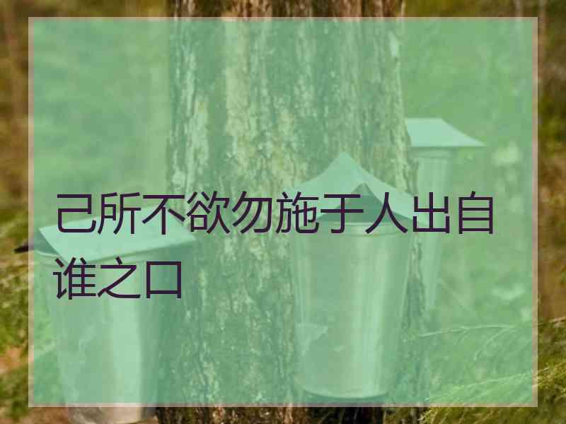 己所不欲勿施于人出自谁之口