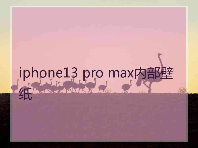 iphone13 pro max内部壁纸