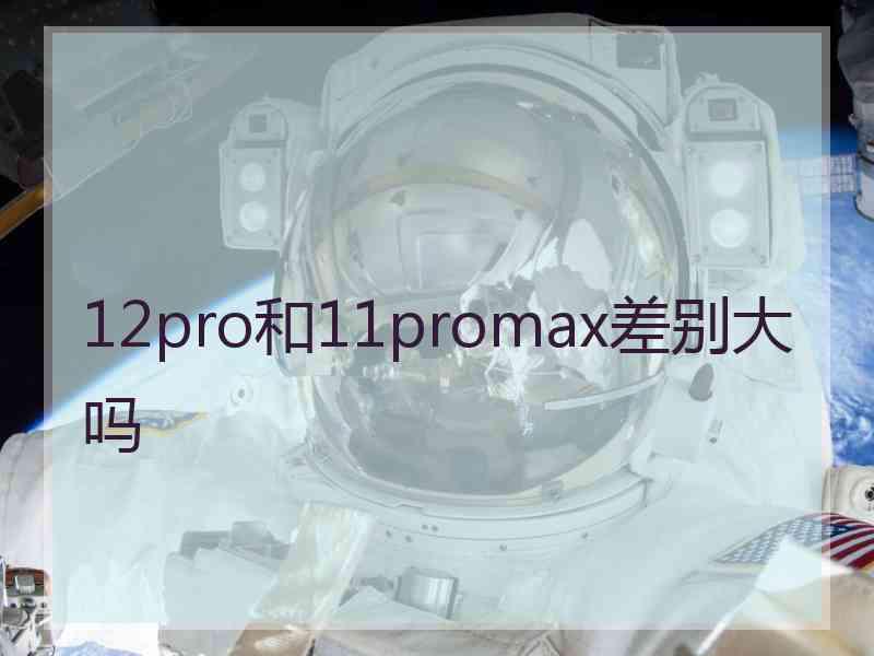 12pro和11promax差别大吗