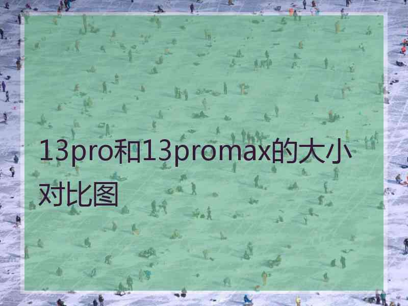 13pro和13promax的大小对比图