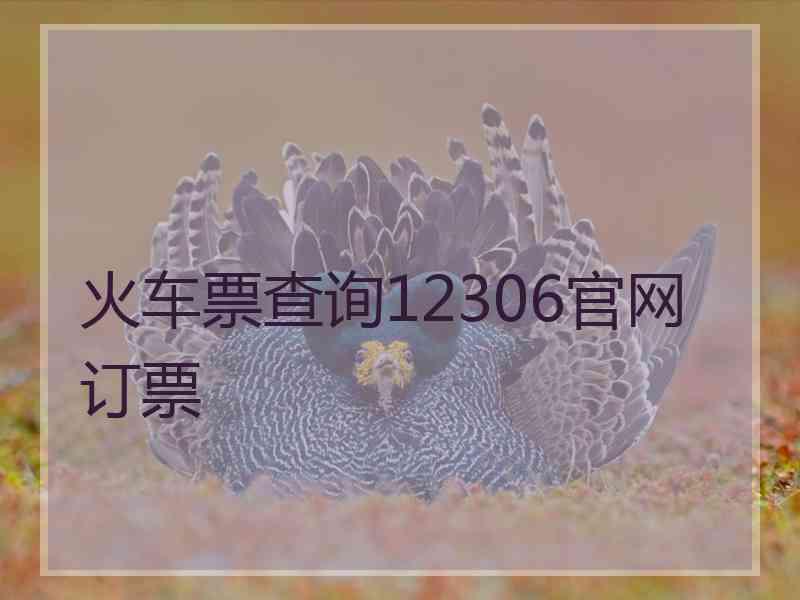 火车票查询12306官网订票