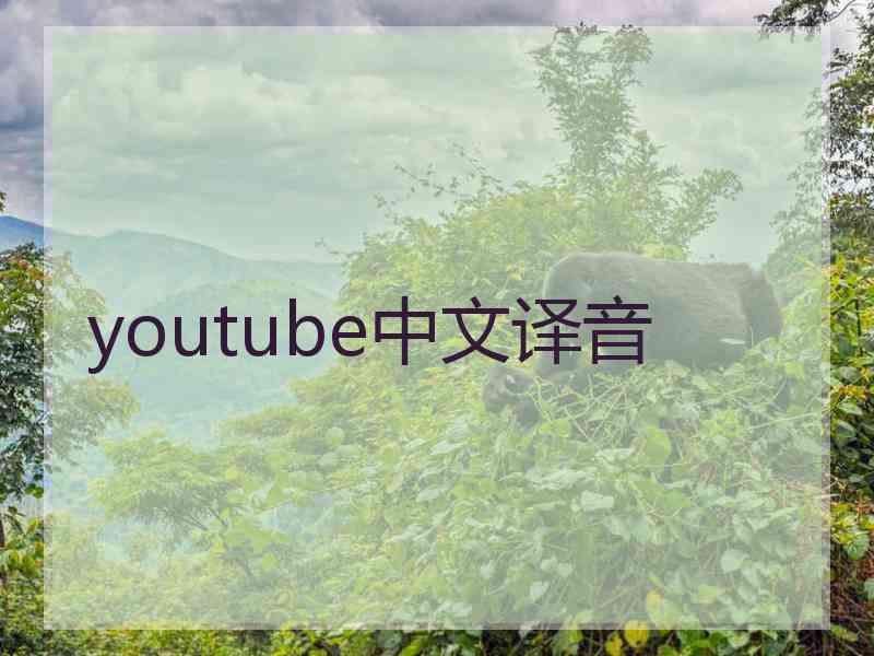 youtube中文译音