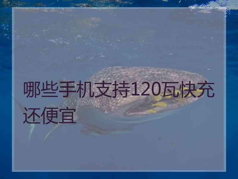 哪些手机支持120瓦快充还便宜