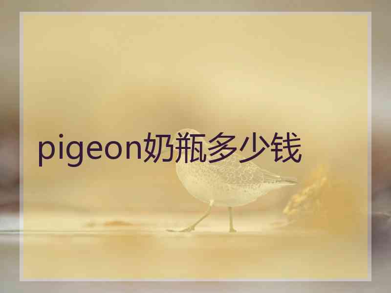 pigeon奶瓶多少钱