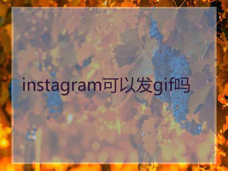 instagram可以发gif吗