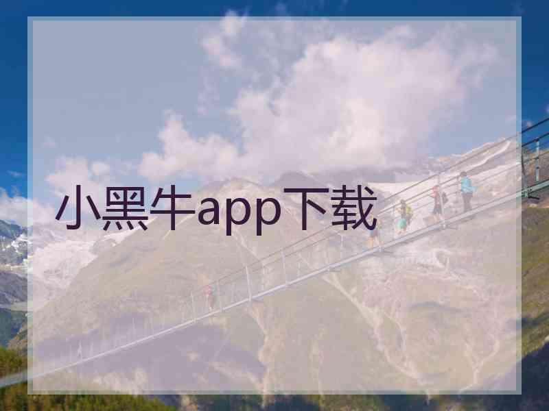 小黑牛app下载