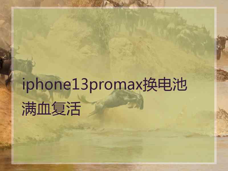 iphone13promax换电池满血复活