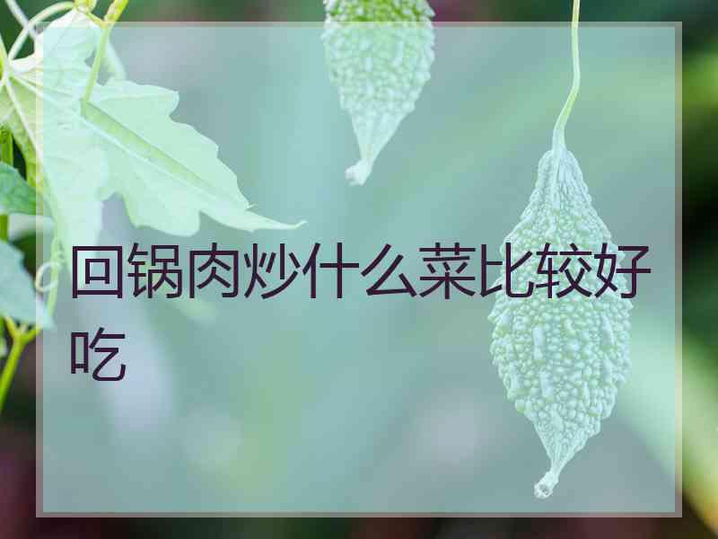 回锅肉炒什么菜比较好吃