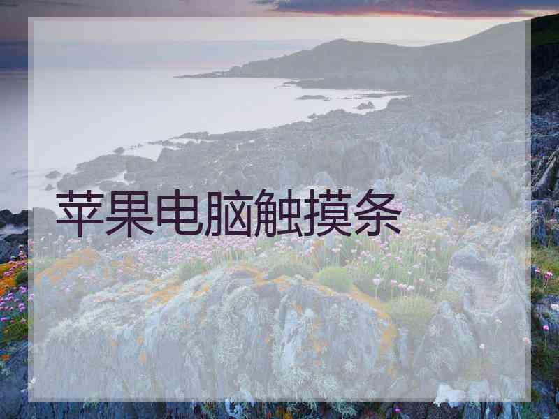 苹果电脑触摸条