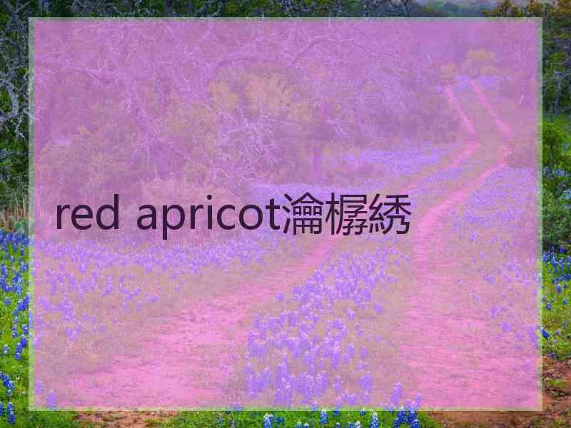 red apricot瀹樼綉