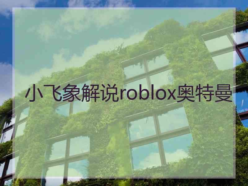 小飞象解说roblox奥特曼