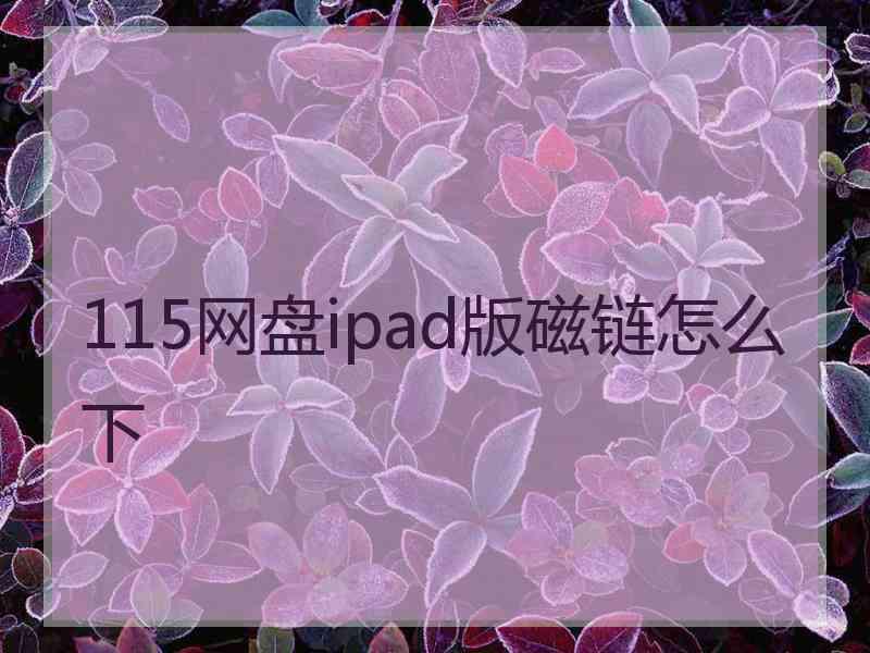 115网盘ipad版磁链怎么下