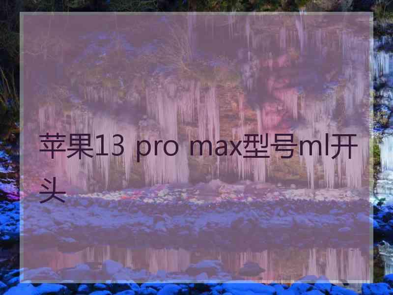 苹果13 pro max型号ml开头