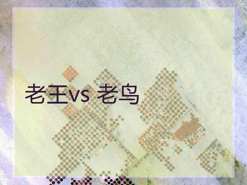 老王vs 老鸟