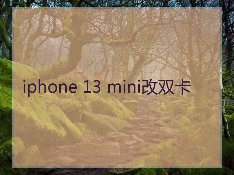 iphone 13 mini改双卡