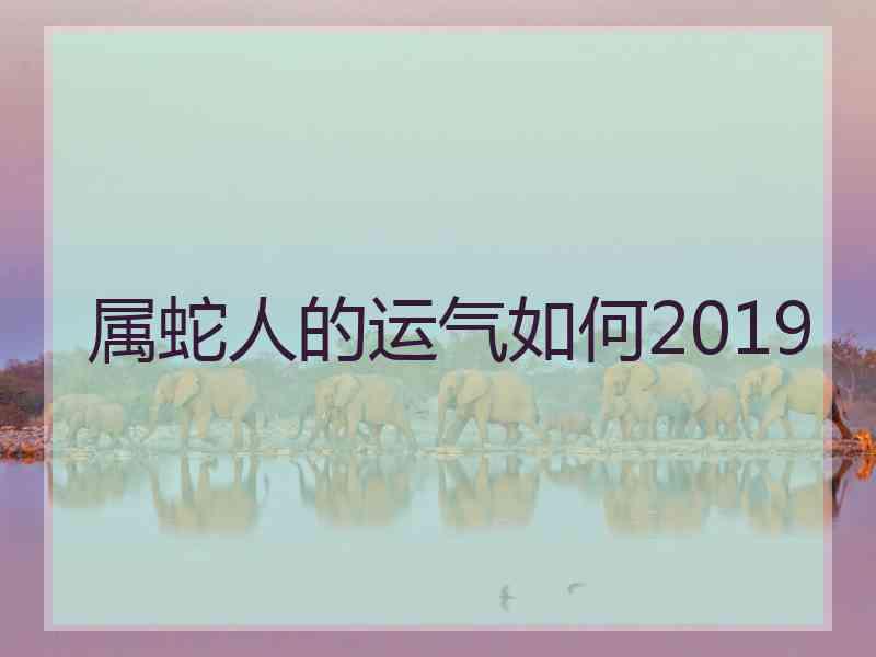 属蛇人的运气如何2019