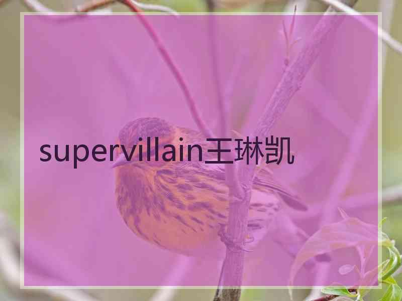 supervillain王琳凯