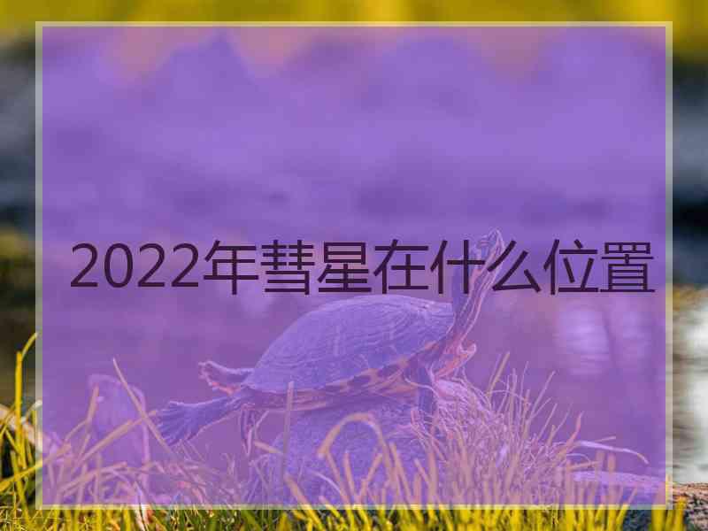 2022年彗星在什么位置