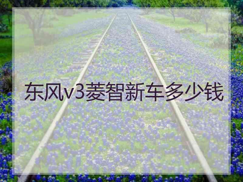 东风v3菱智新车多少钱