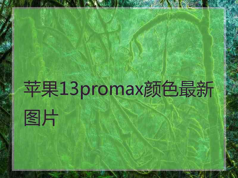 苹果13promax颜色最新图片