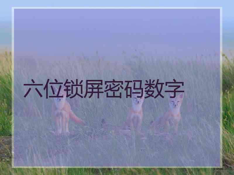 六位锁屏密码数字