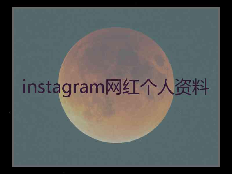 instagram网红个人资料